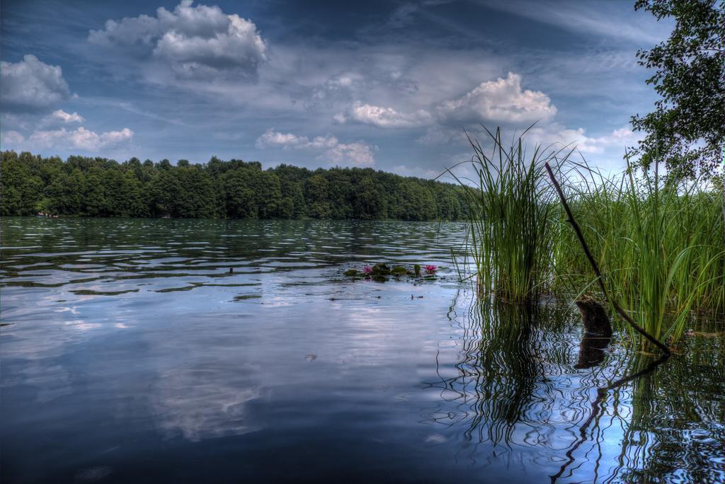 Hotel Am Liepnitzsee ヴァンドリッツ エクステリア 写真