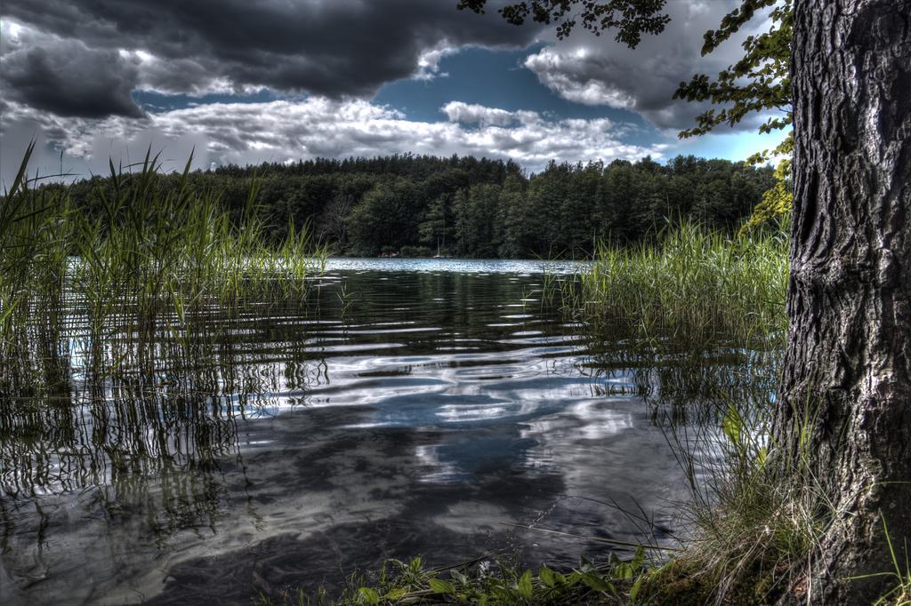 Hotel Am Liepnitzsee ヴァンドリッツ エクステリア 写真