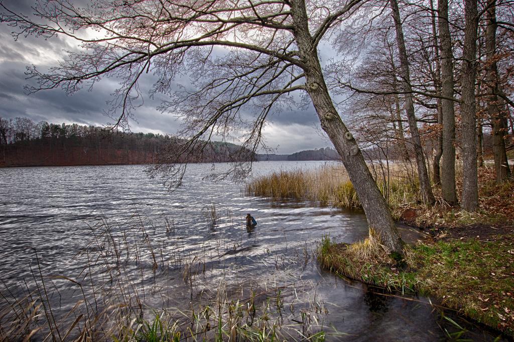 Hotel Am Liepnitzsee ヴァンドリッツ エクステリア 写真