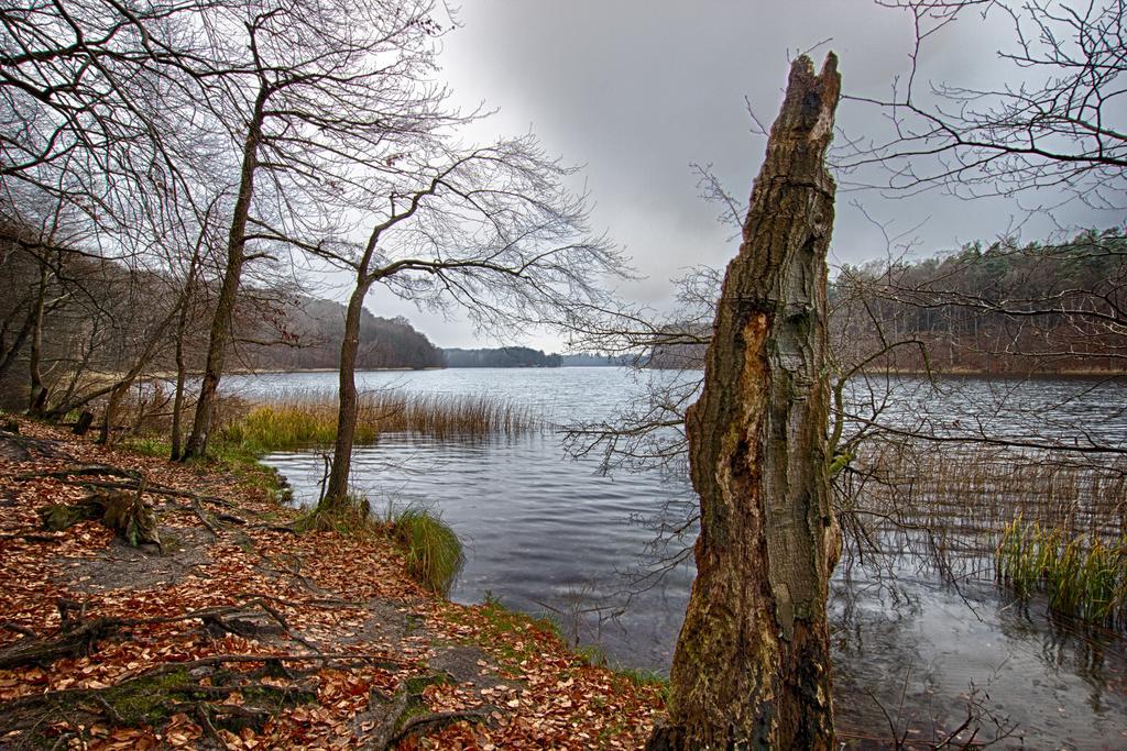 Hotel Am Liepnitzsee ヴァンドリッツ エクステリア 写真