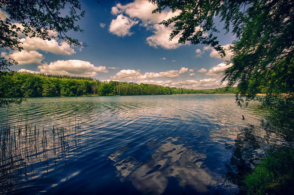 Hotel Am Liepnitzsee ヴァンドリッツ エクステリア 写真