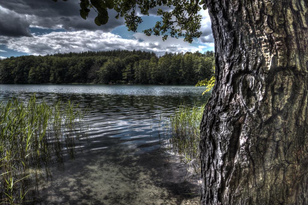 Hotel Am Liepnitzsee ヴァンドリッツ エクステリア 写真